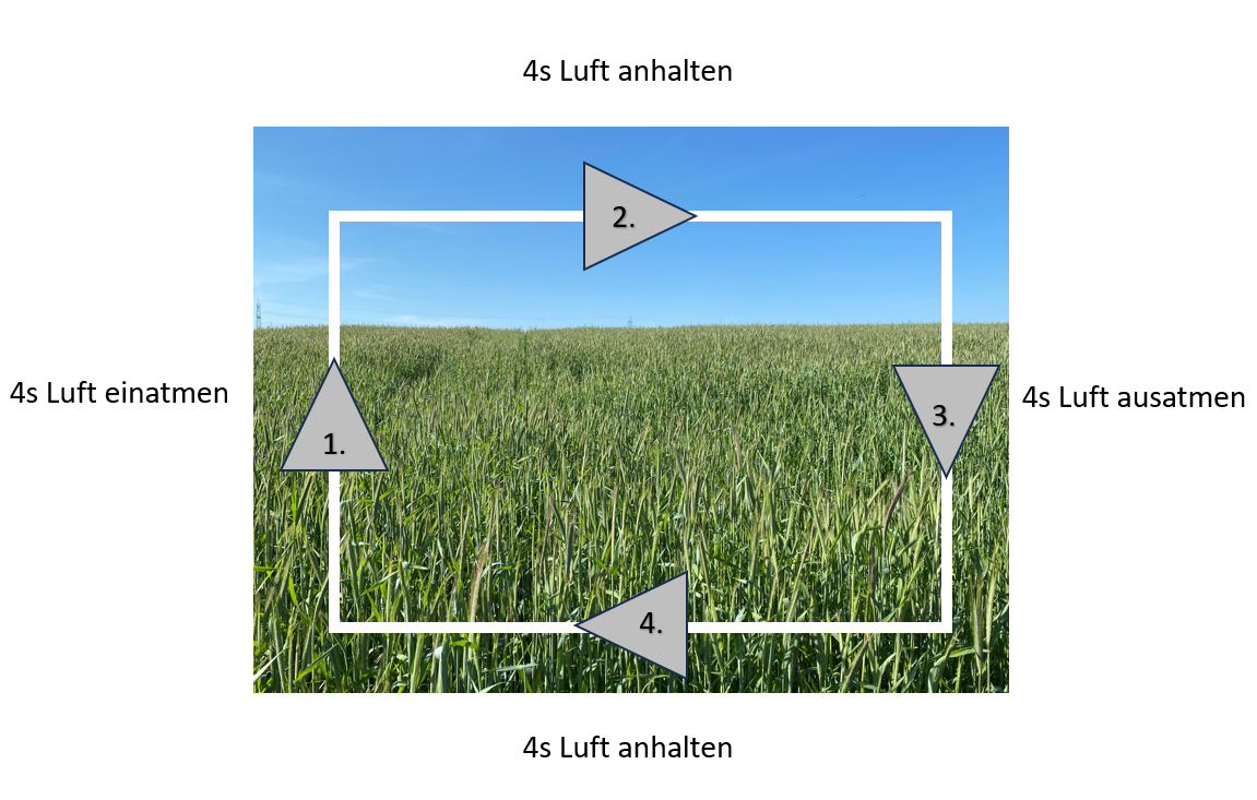 Boxatmung symbolisch dargestellt